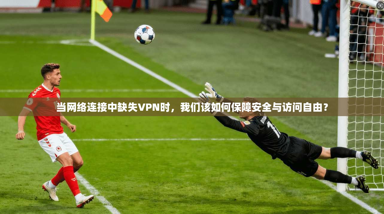 当网络连接中缺失VPN时，我们该如何保障安全与访问自由？