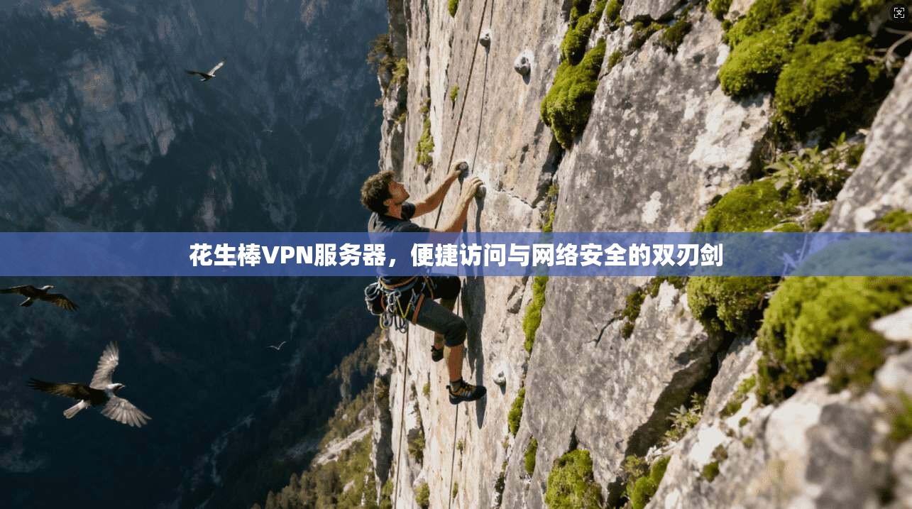 花生棒VPN服务器，便捷访问与网络安全的双刃剑