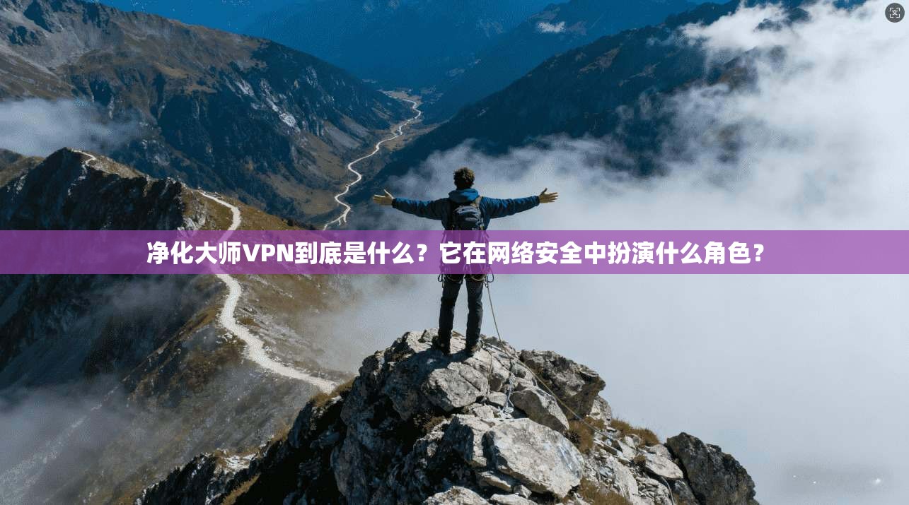 净化大师VPN到底是什么？它在网络安全中扮演什么角色？