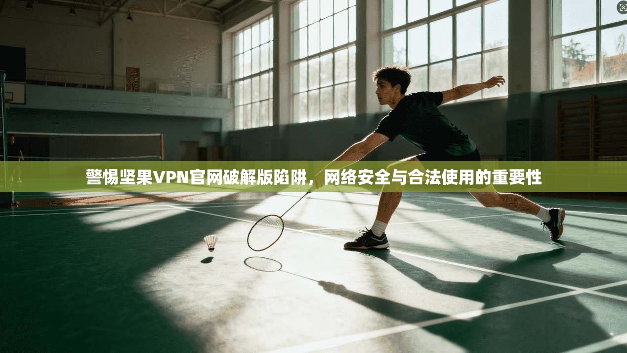 警惕坚果VPN官网破解版陷阱，网络安全与合法使用的重要性