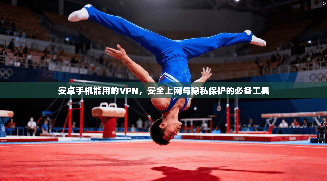 安卓手机能用的VPN，安全上网与隐私保护的必备工具
