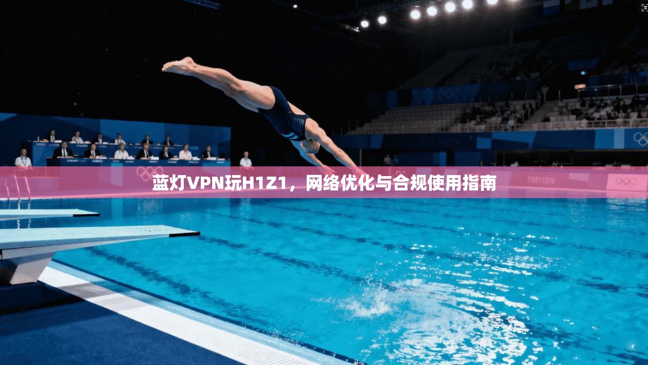 蓝灯VPN玩H1Z1，网络优化与合规使用指南