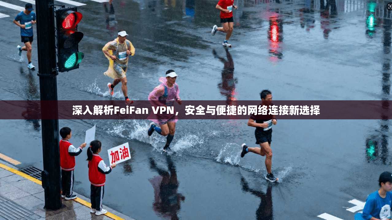 深入解析FeiFan VPN，安全与便捷的网络连接新选择