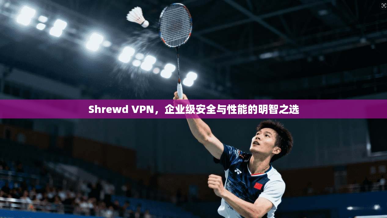 Shrewd VPN，企业级安全与性能的明智之选