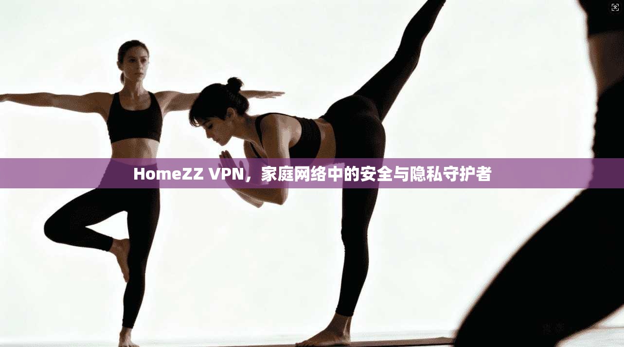 HomeZZ VPN，家庭网络中的安全与隐私守护者