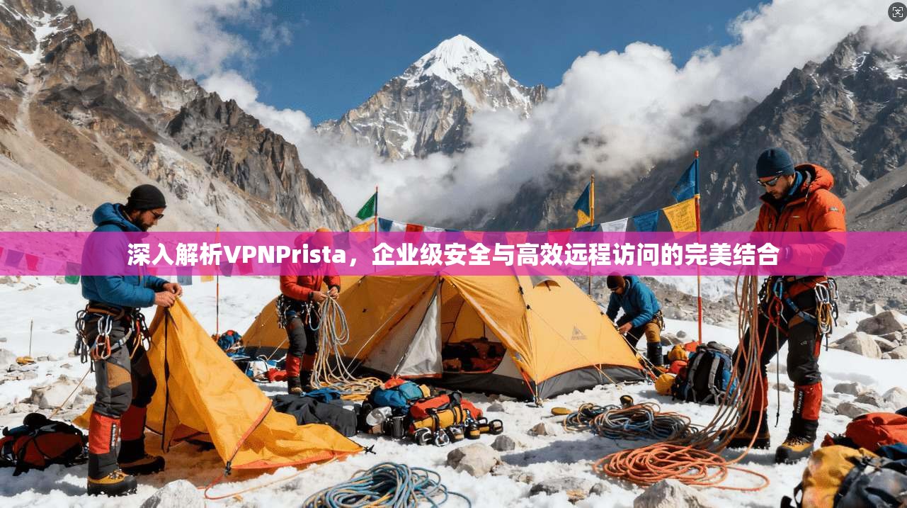 深入解析VPNPrista，企业级安全与高效远程访问的完美结合
