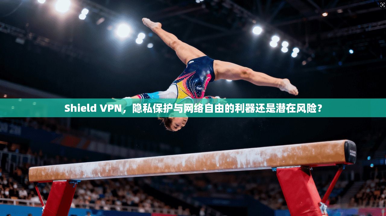 Shield VPN，隐私保护与网络自由的利器还是潜在风险？