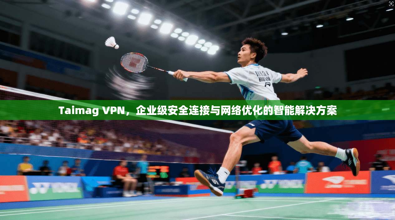 Taimag VPN，企业级安全连接与网络优化的智能解决方案