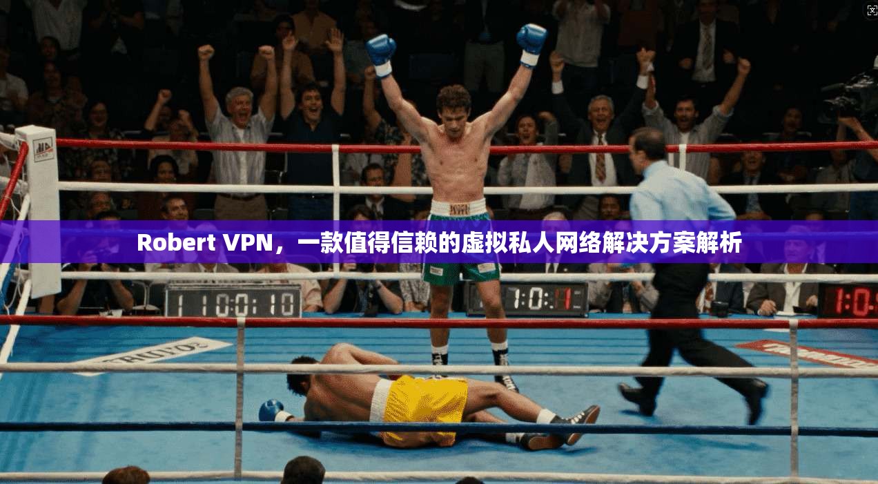 Robert VPN，一款值得信赖的虚拟私人网络解决方案解析