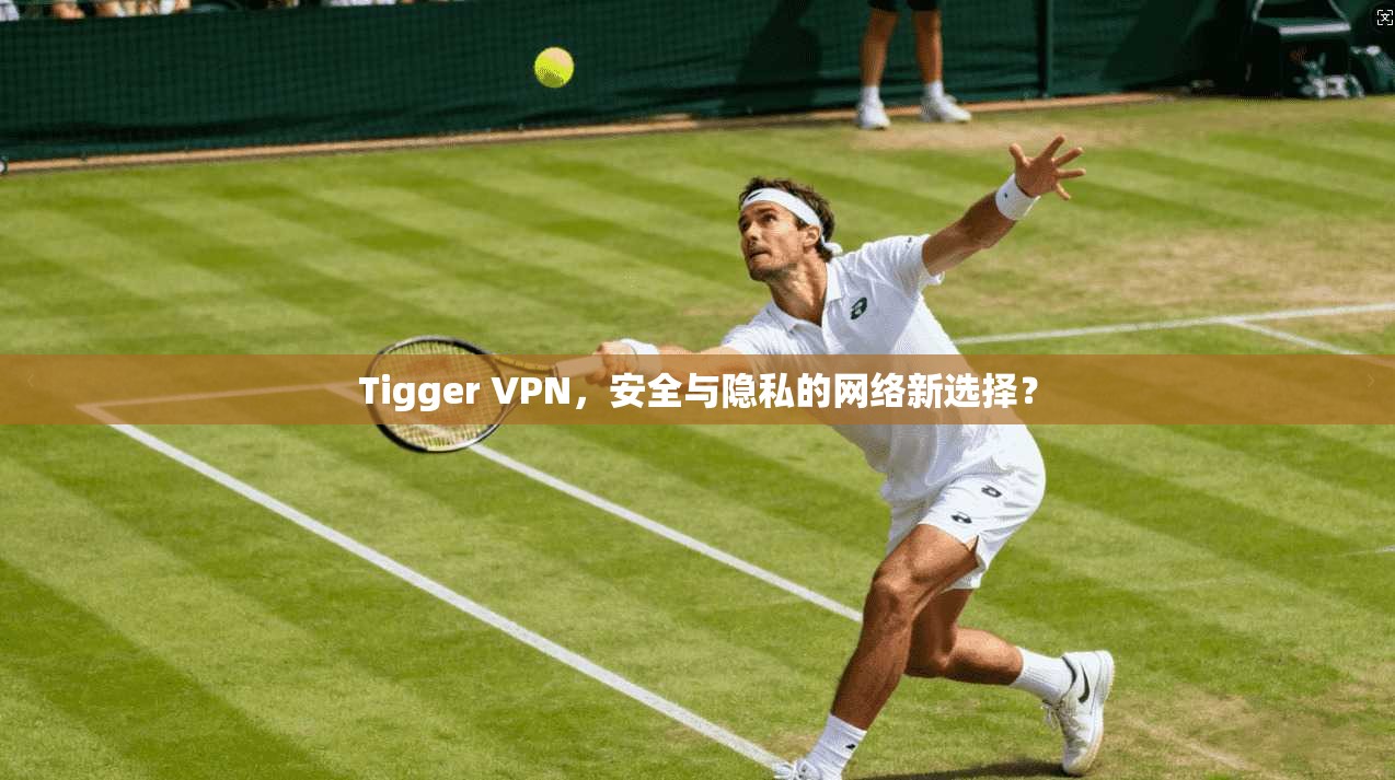 Tigger VPN，安全与隐私的网络新选择？