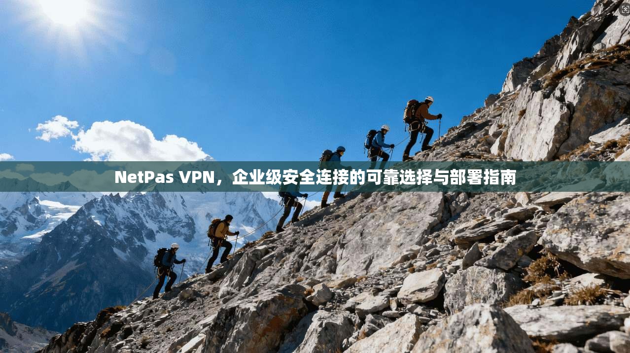 NetPas VPN，企业级安全连接的可靠选择与部署指南