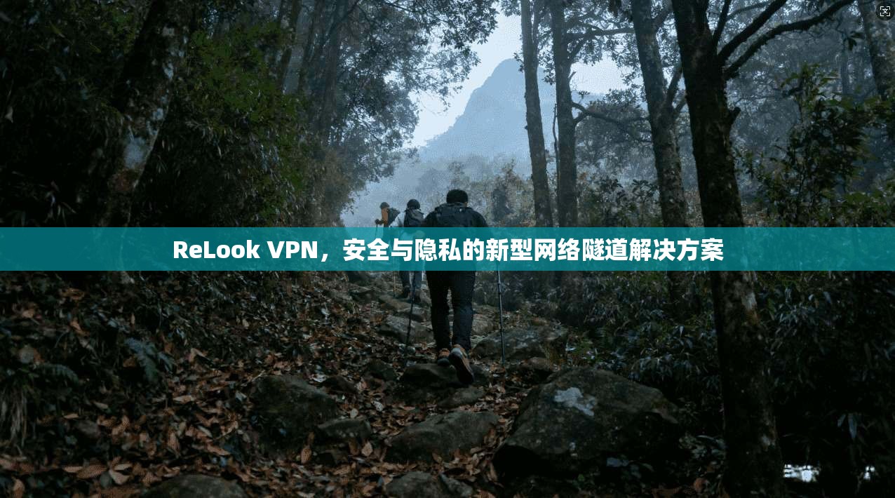 ReLook VPN，安全与隐私的新型网络隧道解决方案