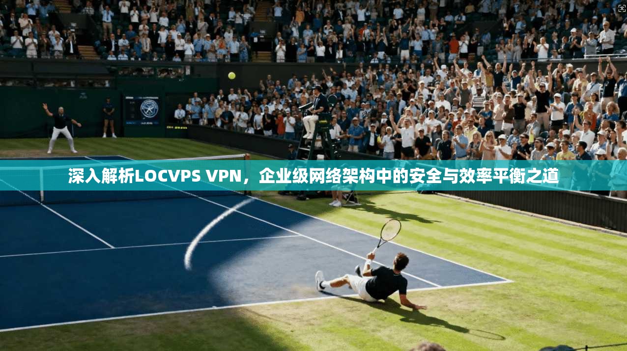 深入解析LOCVPS VPN，企业级网络架构中的安全与效率平衡之道