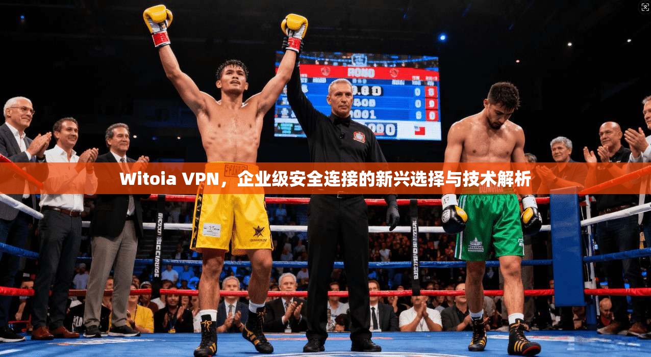 Witoia VPN，企业级安全连接的新兴选择与技术解析