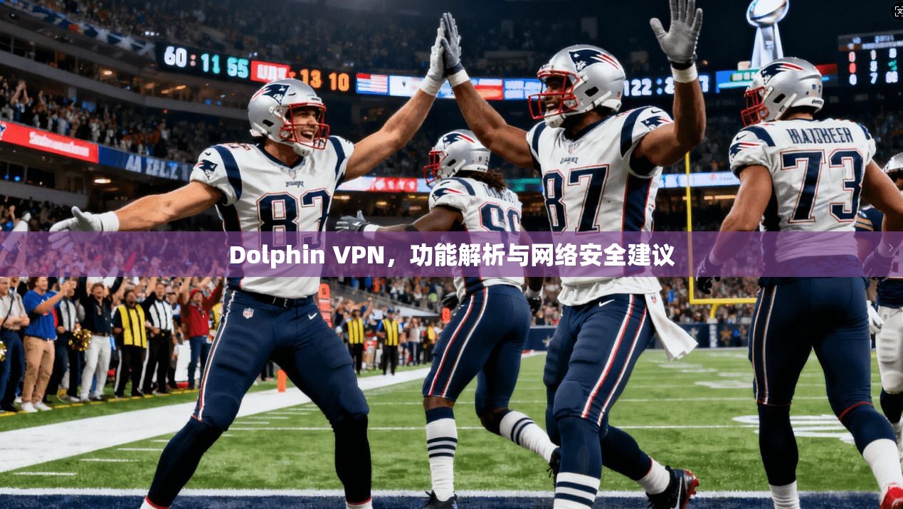 Dolphin VPN，功能解析与网络安全建议