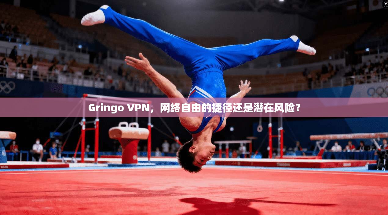 Gringo VPN，网络自由的捷径还是潜在风险？