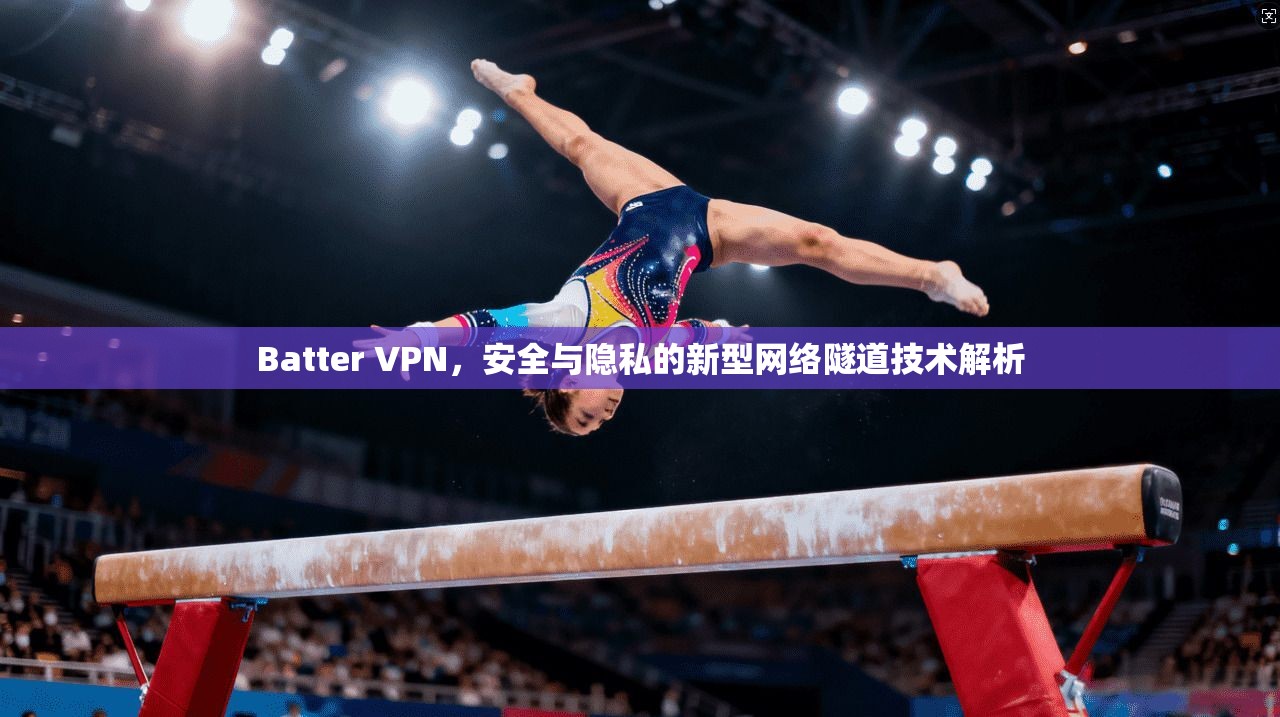 Batter VPN，安全与隐私的新型网络隧道技术解析