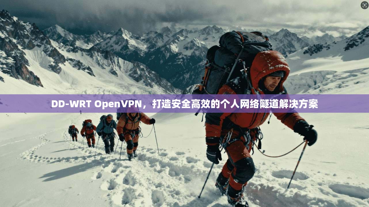 DD-WRT OpenVPN，打造安全高效的个人网络隧道解决方案