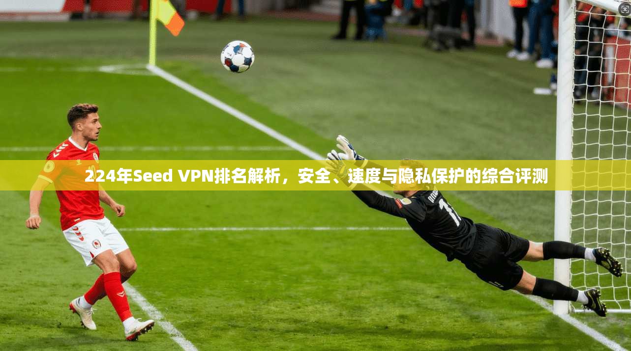 224年Seed VPN排名解析，安全、速度与隐私保护的综合评测