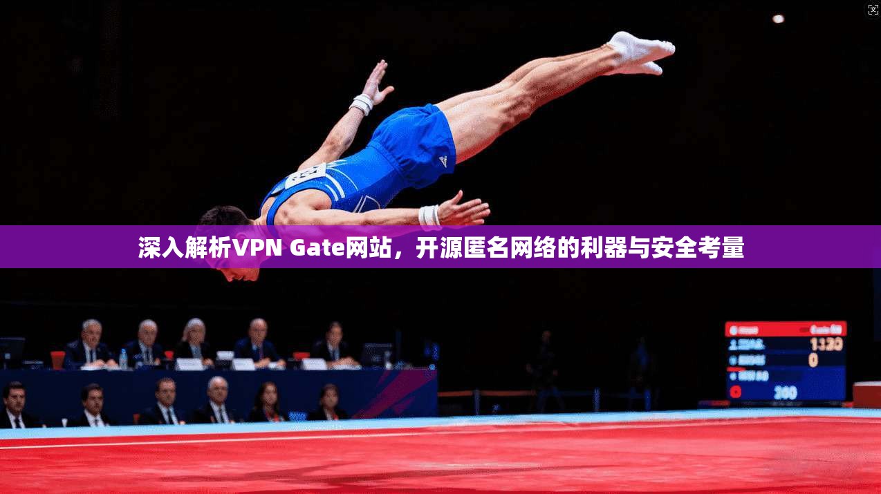 深入解析VPN Gate网站，开源匿名网络的利器与安全考量
