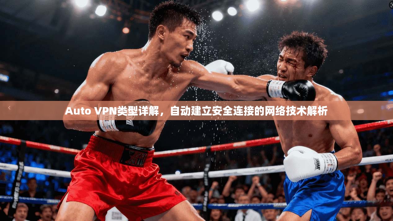 Auto VPN类型详解，自动建立安全连接的网络技术解析