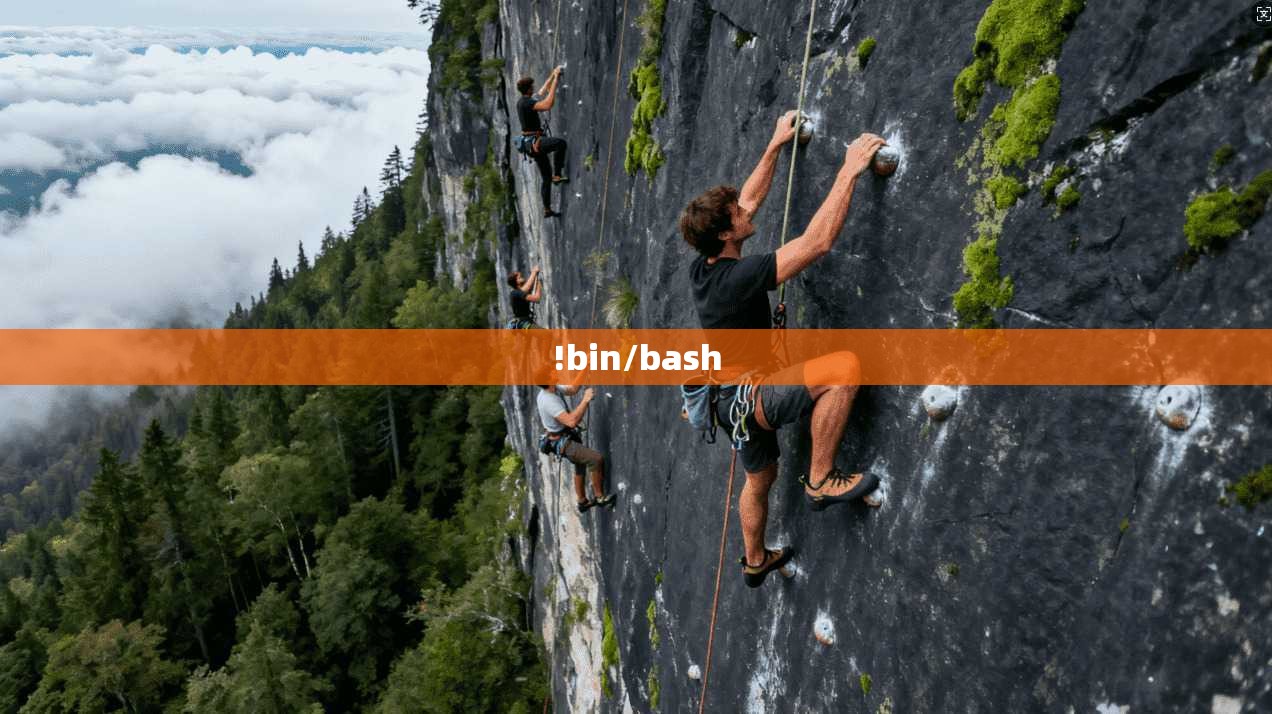 !bin/bash