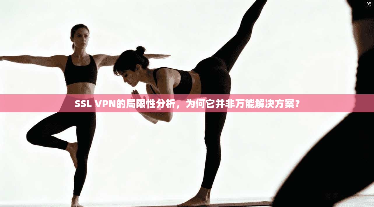 SSL VPN的局限性分析，为何它并非万能解决方案？