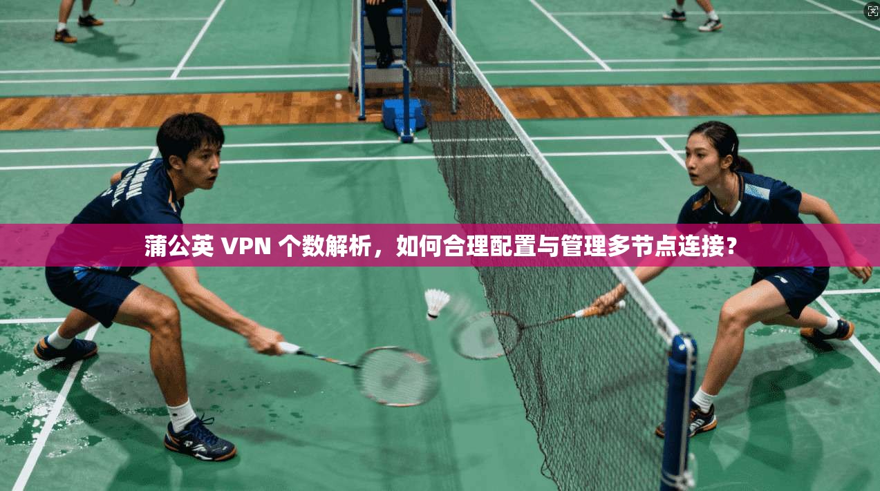 蒲公英 VPN 个数解析，如何合理配置与管理多节点连接？