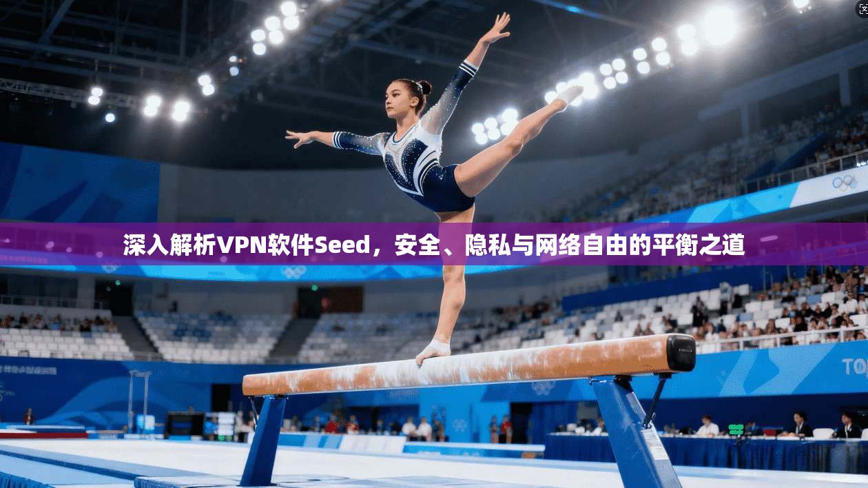 深入解析VPN软件Seed，安全、隐私与网络自由的平衡之道