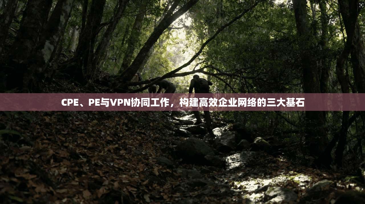 CPE、PE与VPN协同工作，构建高效企业网络的三大基石