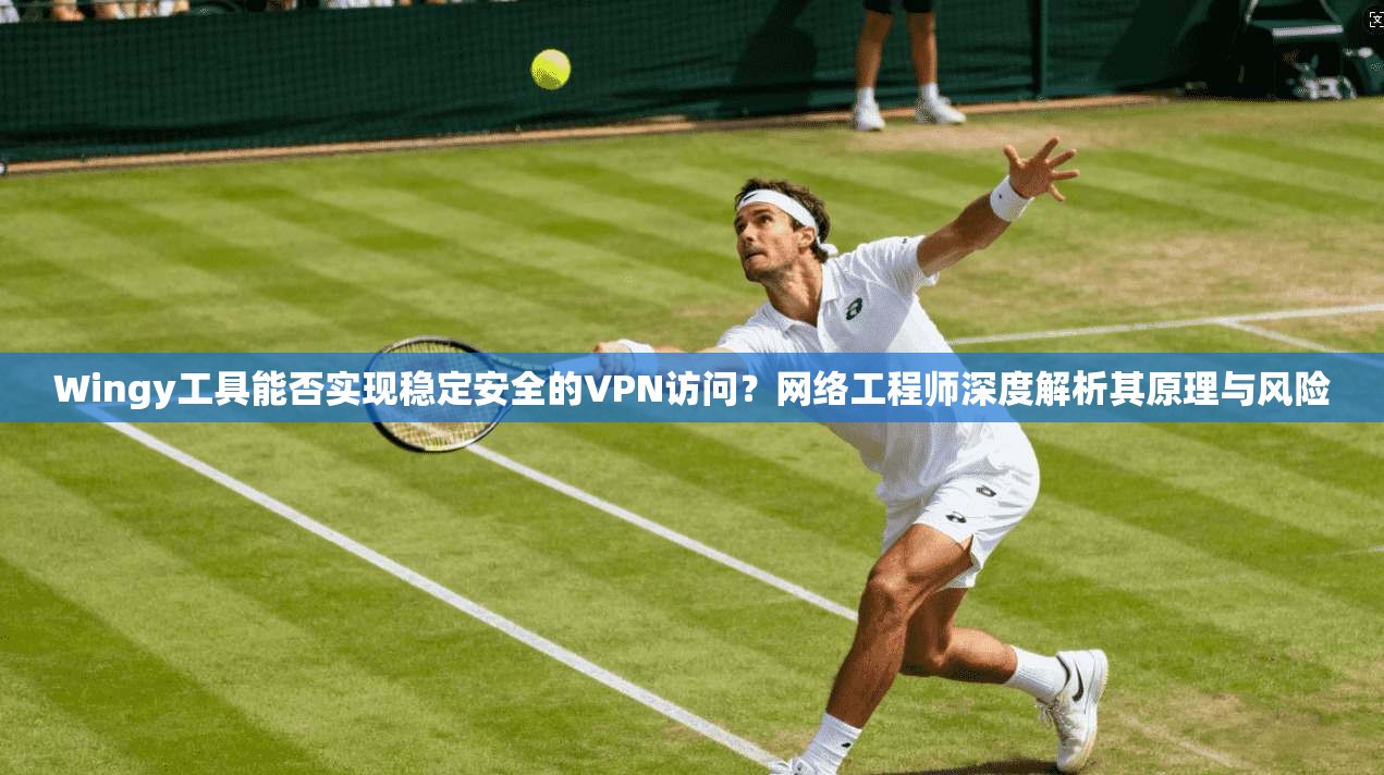 Wingy工具能否实现稳定安全的VPN访问？网络工程师深度解析其原理与风险