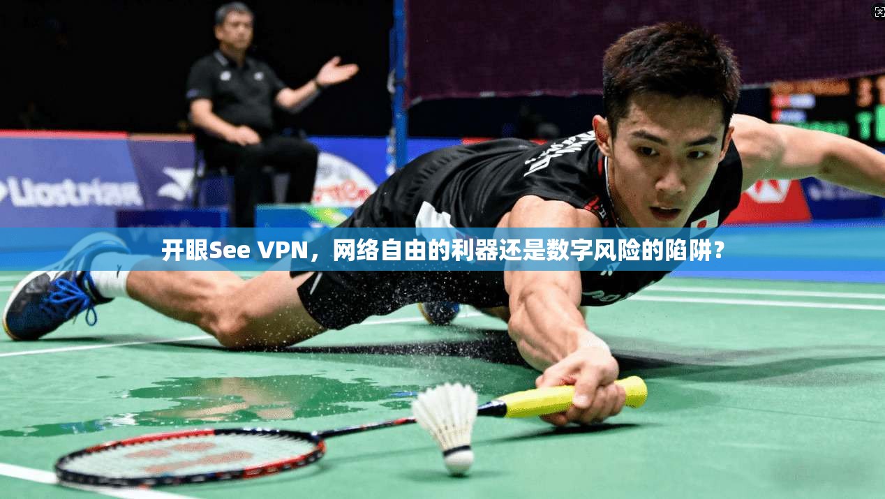 开眼See VPN，网络自由的利器还是数字风险的陷阱？