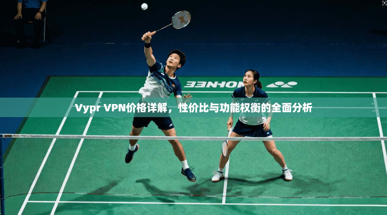 Vypr VPN价格详解，性价比与功能权衡的全面分析