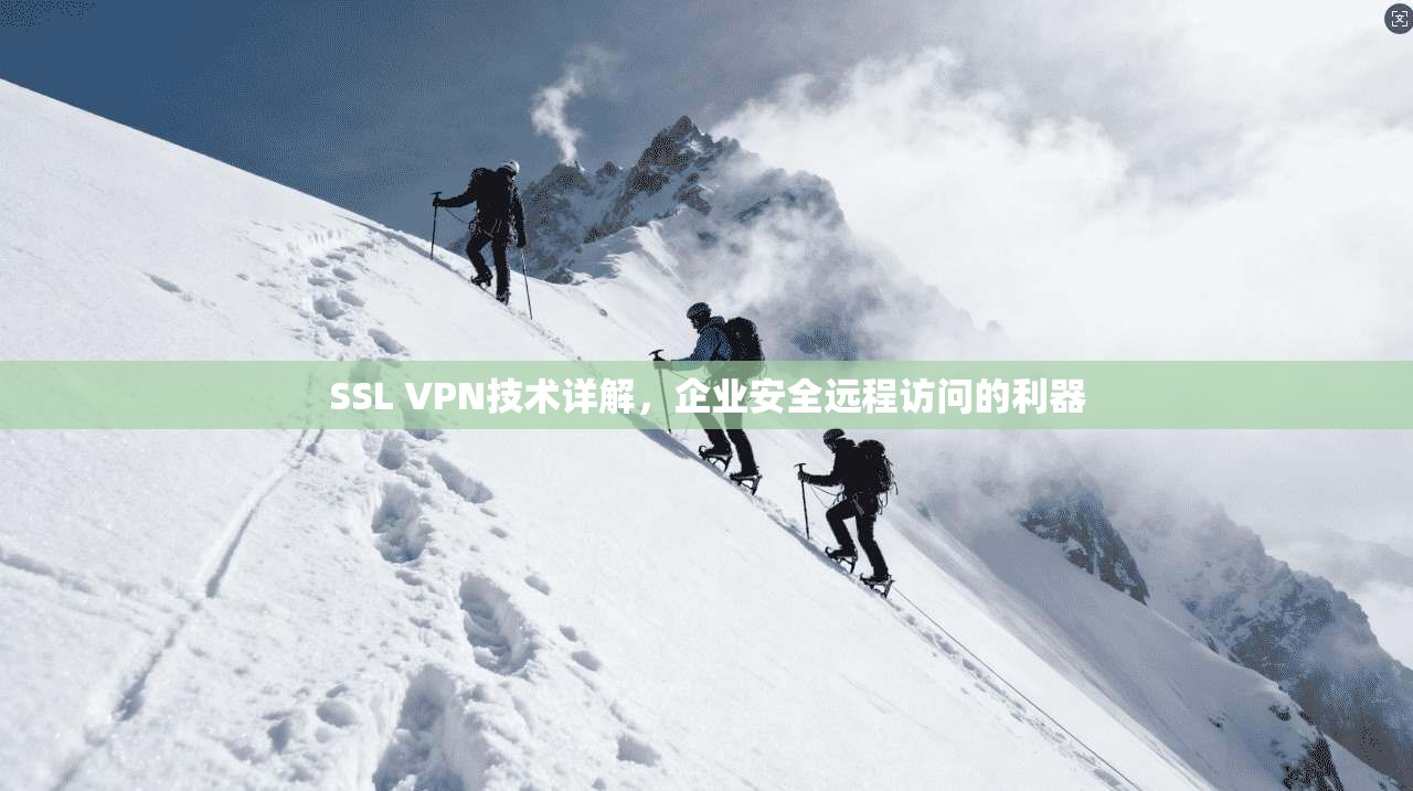 SSL VPN技术详解，企业安全远程访问的利器
