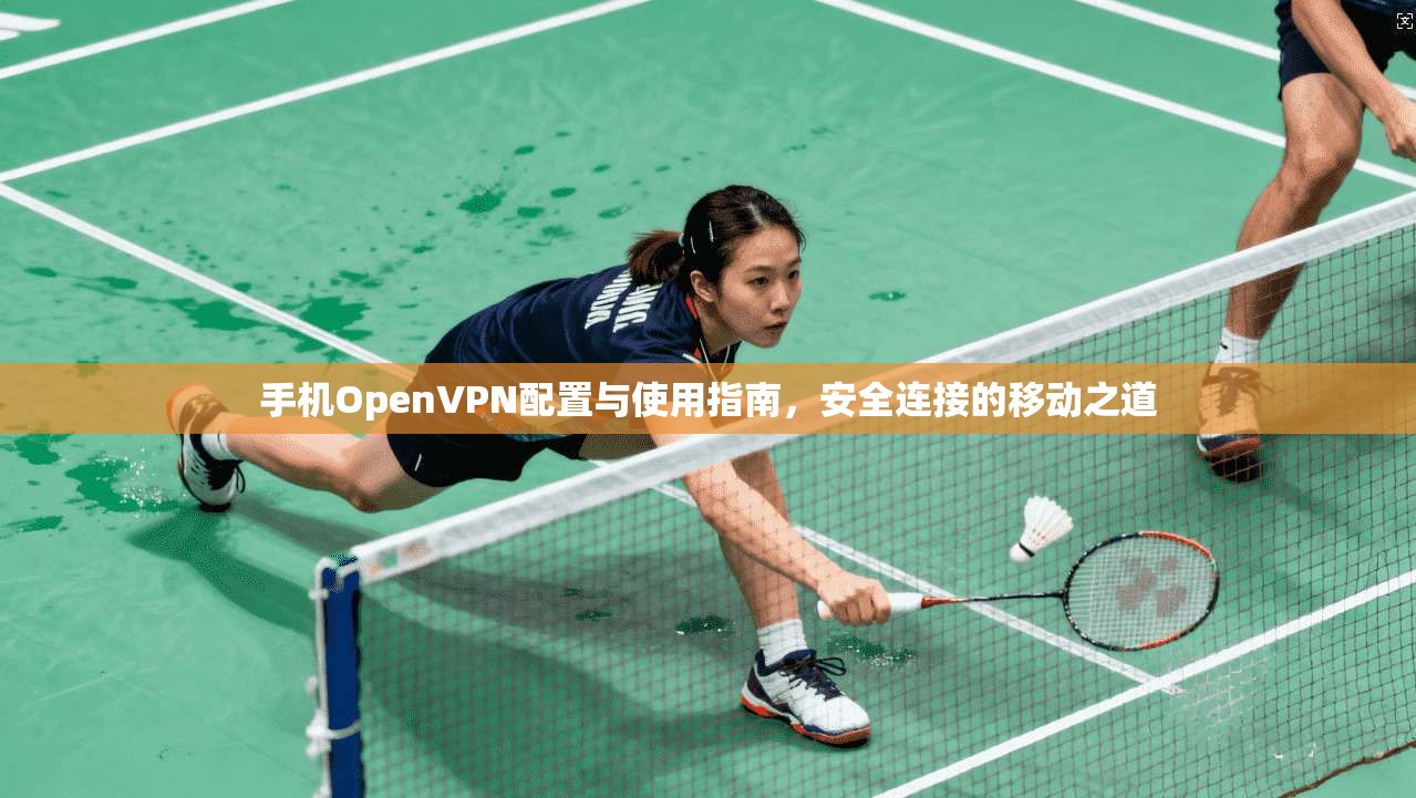 手机OpenVPN配置与使用指南，安全连接的移动之道