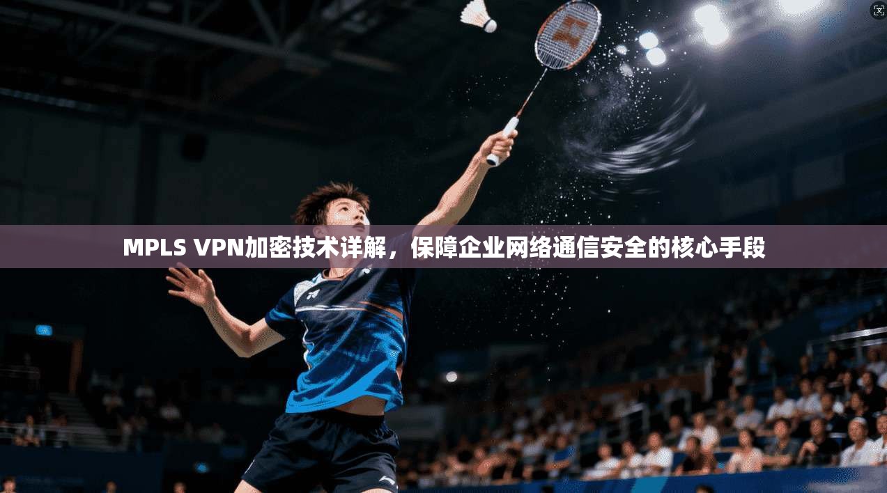 MPLS VPN加密技术详解，保障企业网络通信安全的核心手段