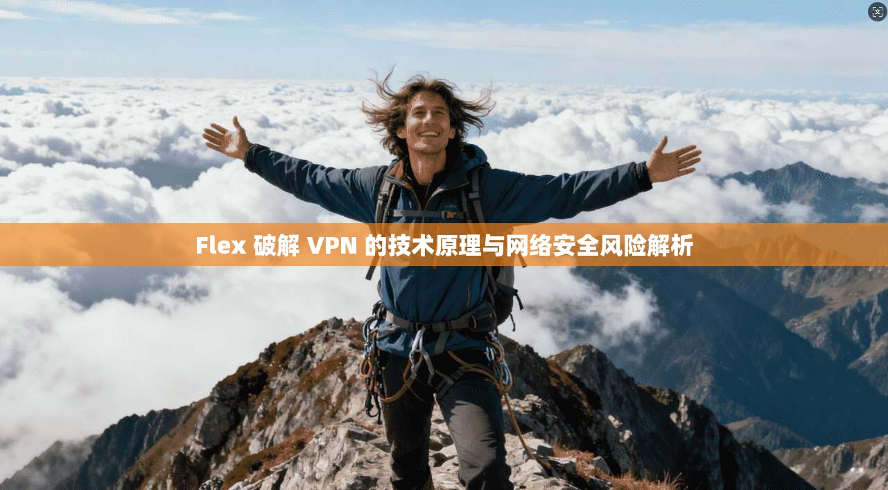 Flex 破解 VPN 的技术原理与网络安全风险解析