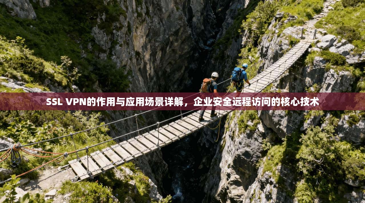 SSL VPN的作用与应用场景详解，企业安全远程访问的核心技术
