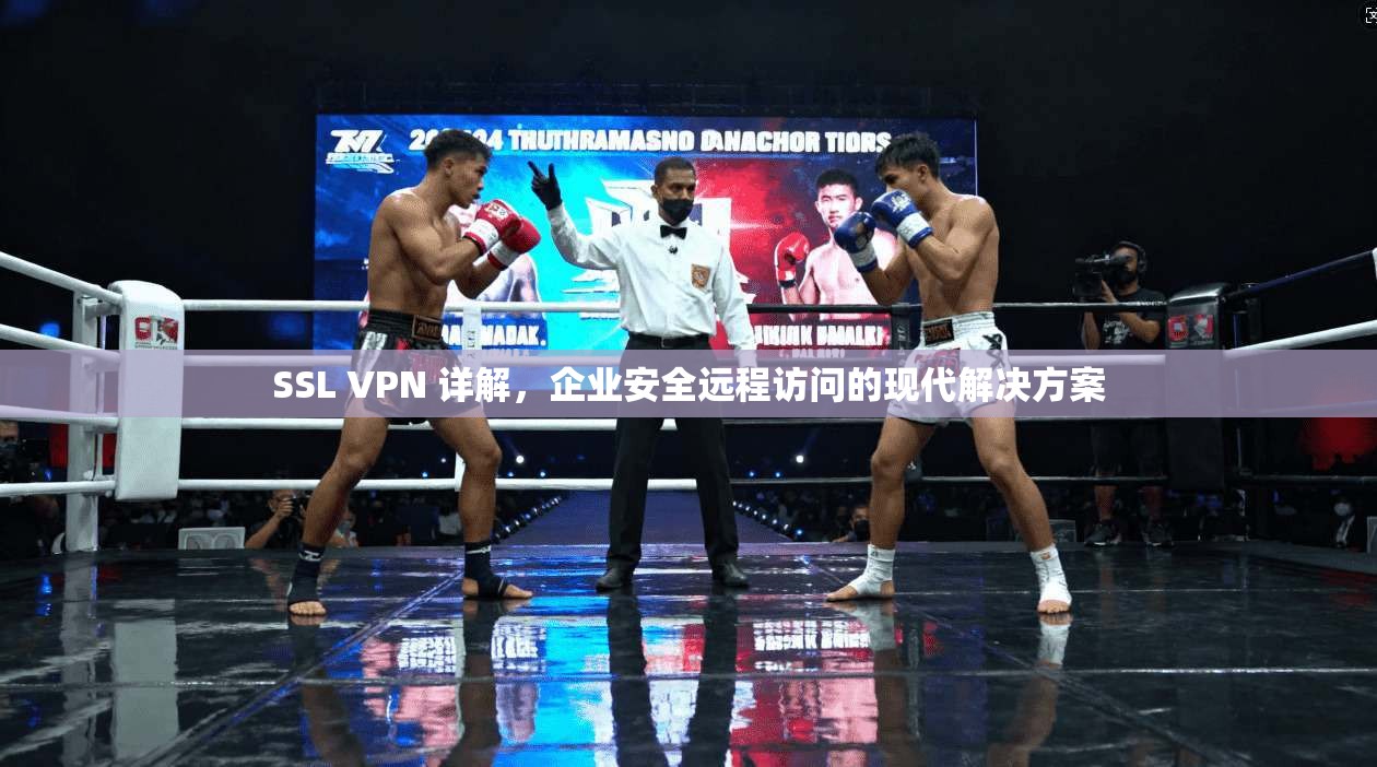 SSL VPN 详解，企业安全远程访问的现代解决方案