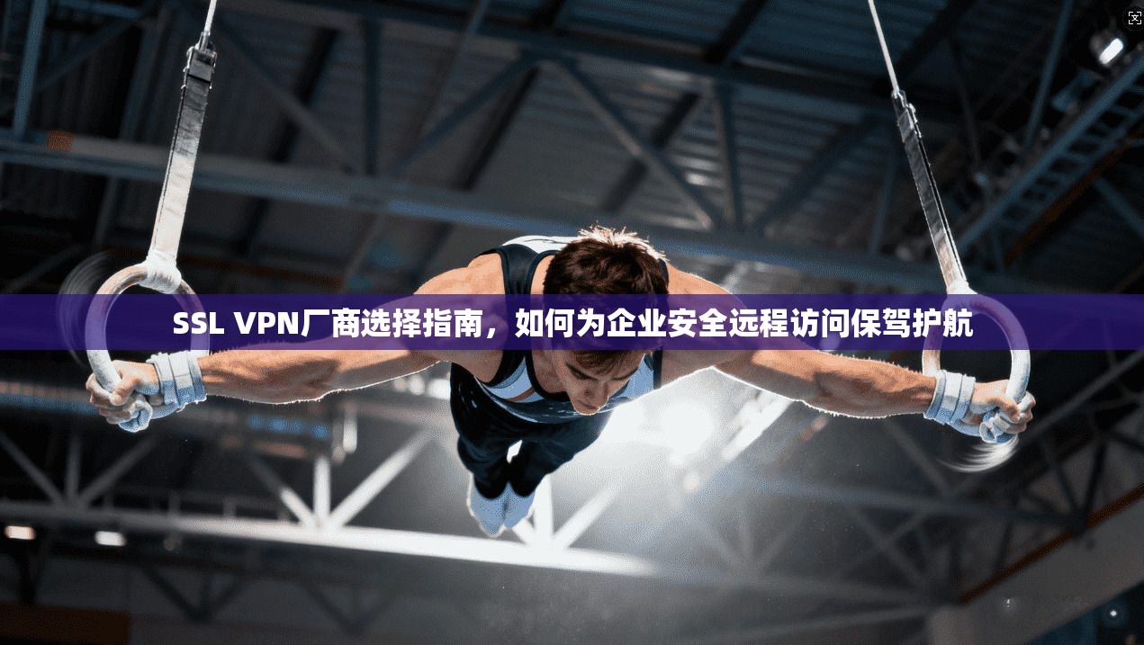 SSL VPN厂商选择指南，如何为企业安全远程访问保驾护航