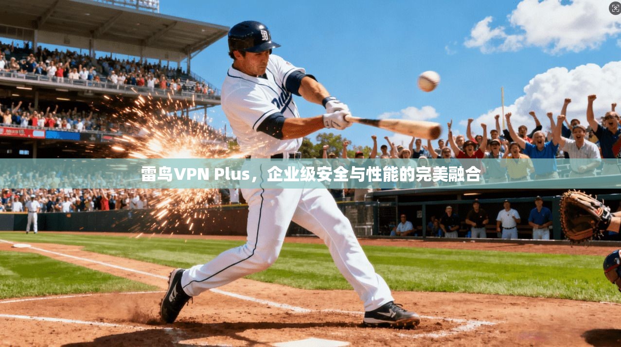 雷鸟VPN Plus，企业级安全与性能的完美融合