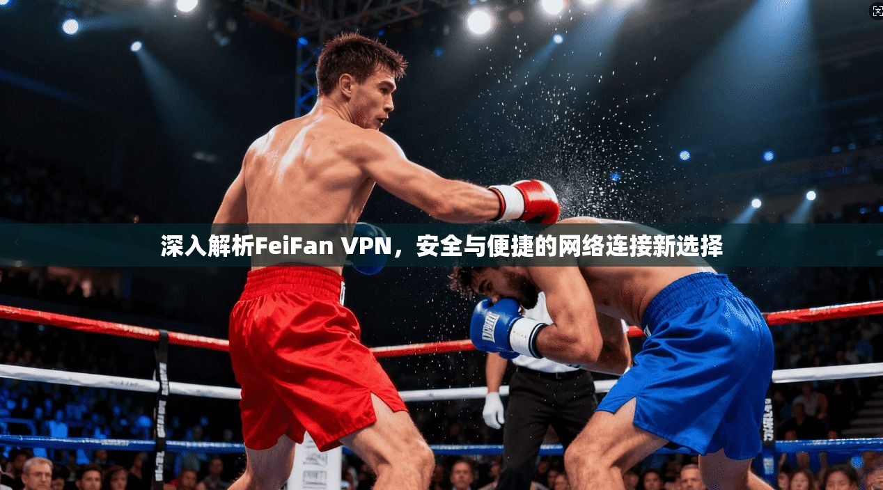 深入解析FeiFan VPN，安全与便捷的网络连接新选择