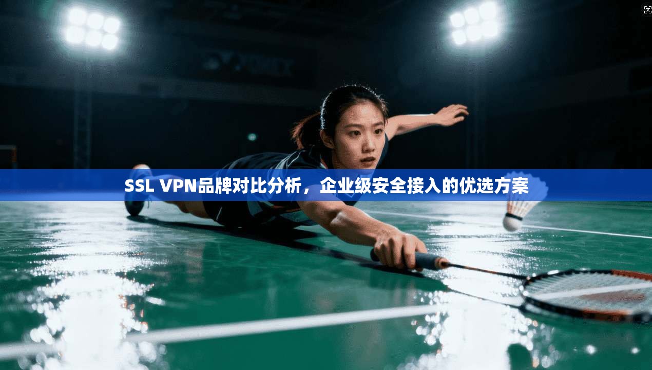 SSL VPN品牌对比分析，企业级安全接入的优选方案
