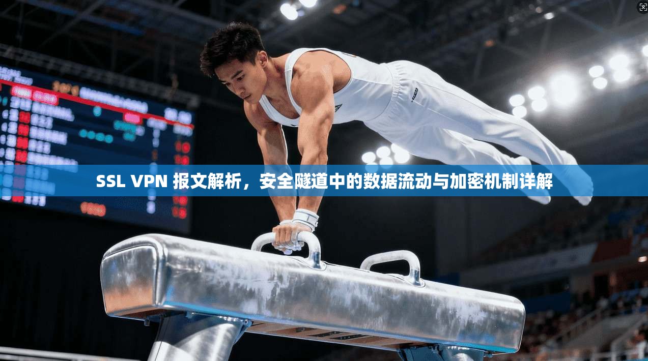 SSL VPN 报文解析，安全隧道中的数据流动与加密机制详解