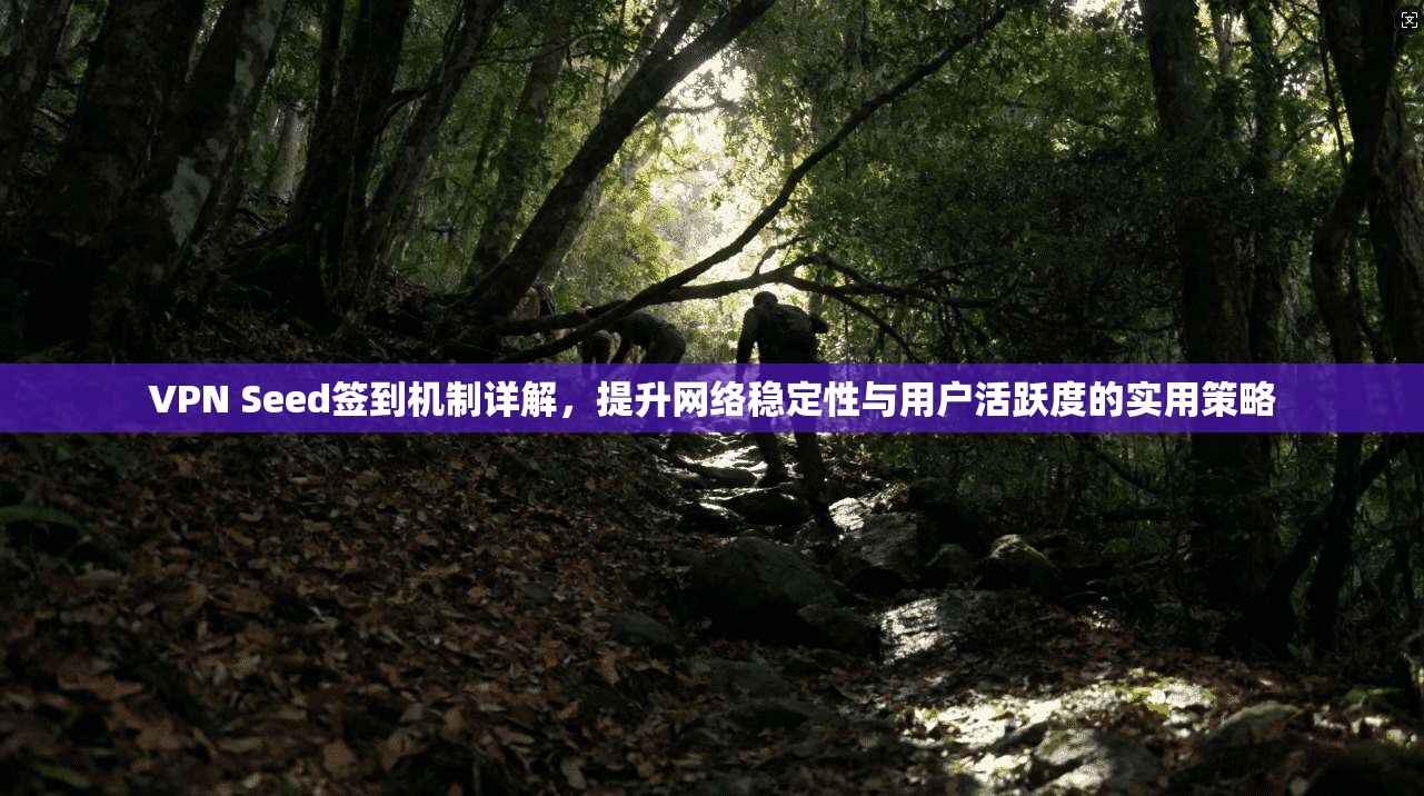VPN Seed签到机制详解，提升网络稳定性与用户活跃度的实用策略