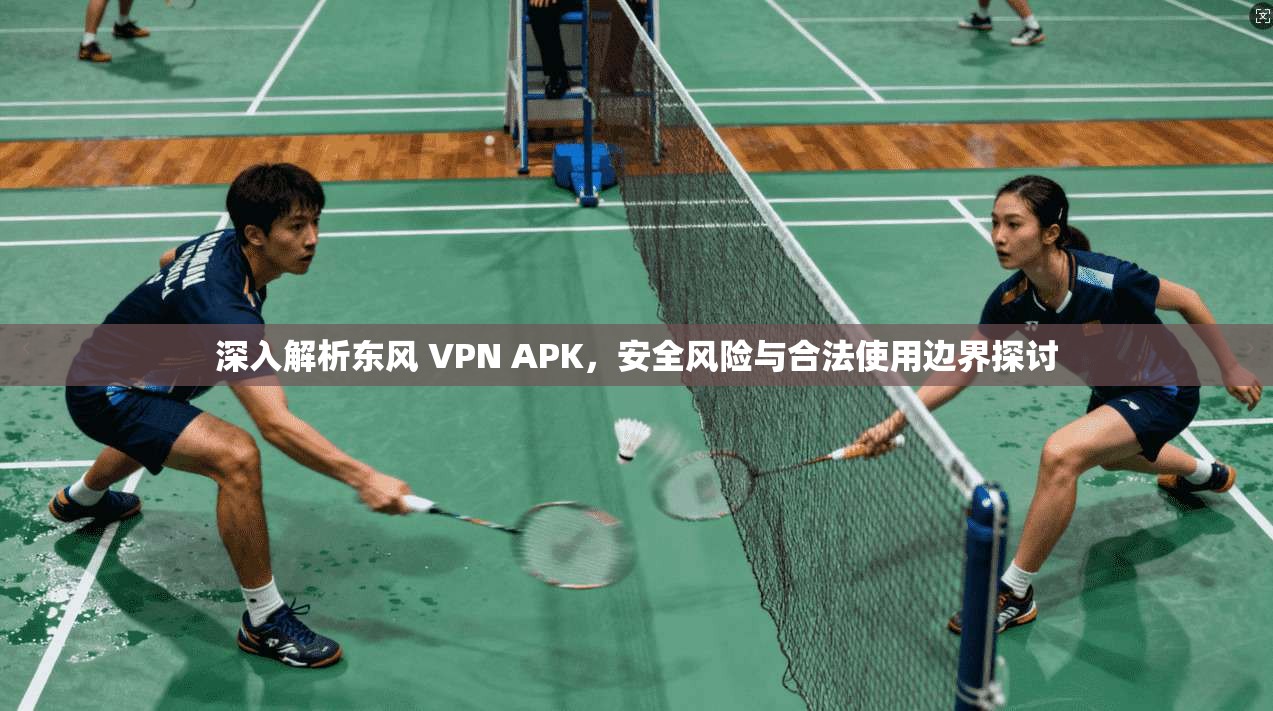 深入解析东风 VPN APK，安全风险与合法使用边界探讨