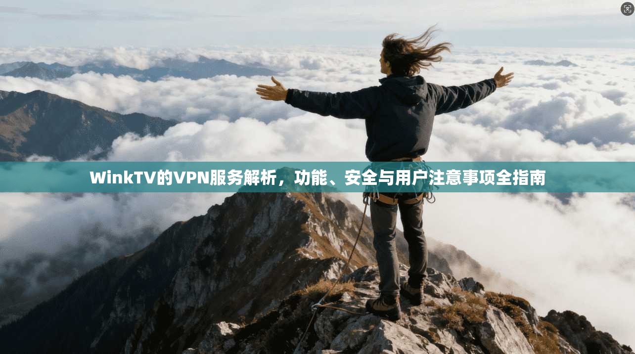 WinkTV的VPN服务解析，功能、安全与用户注意事项全指南