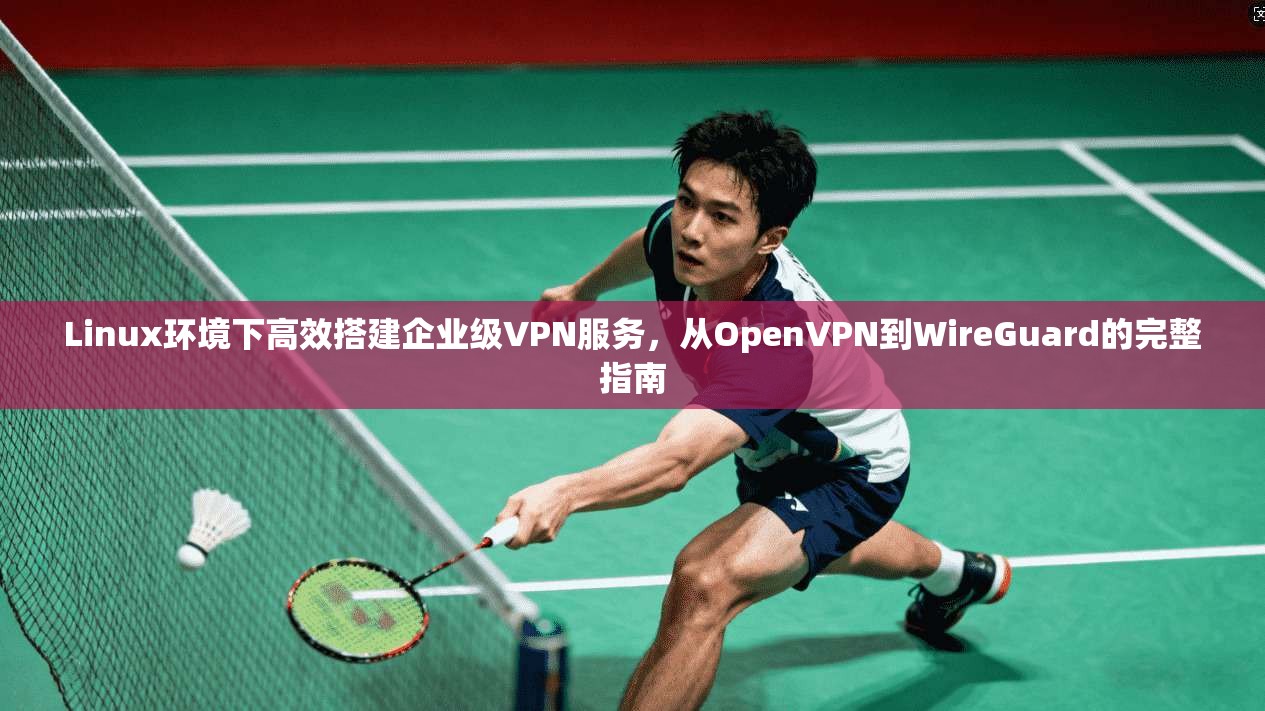 Linux环境下高效搭建企业级VPN服务，从OpenVPN到WireGuard的完整指南