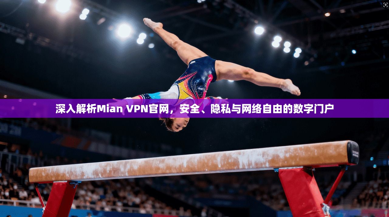深入解析Mian VPN官网，安全、隐私与网络自由的数字门户