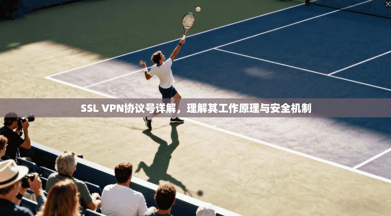 SSL VPN协议号详解，理解其工作原理与安全机制